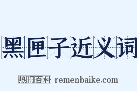 黑匣子近义词是什么意思的图片